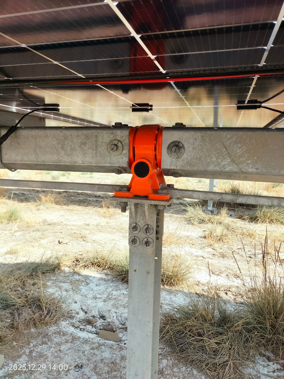 WhatsApp Image 2025-07-08 at 10.30.14 AM